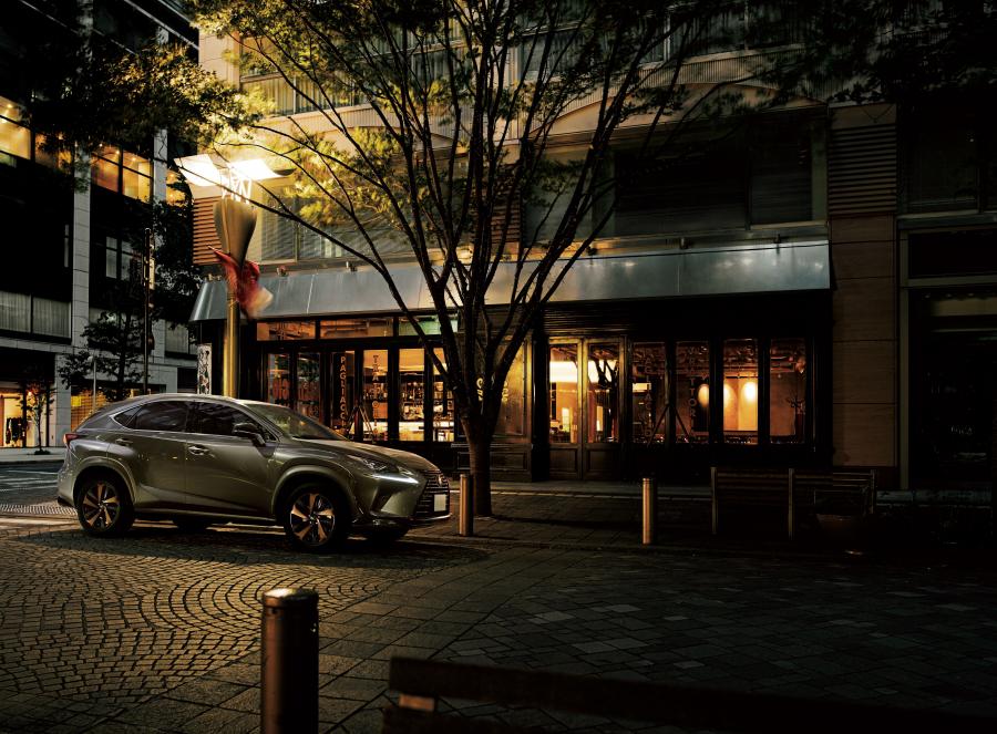  Lexus NX300 Bronze Edition 2020 года  (JP) (фото 11 из 12)